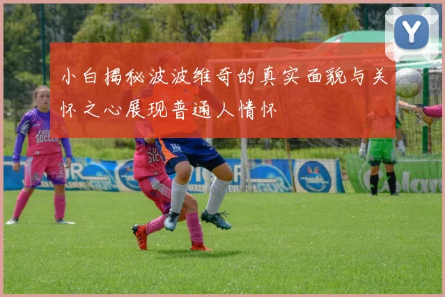 小白揭秘波波维奇的真实面貌与关怀之心展现普通人情怀