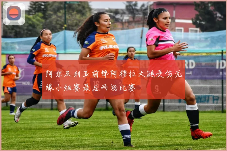 阿尔及利亚前锋阿穆拉大腿受伤无缘小组赛最后两场比赛